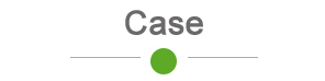 case