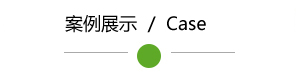 成功案例